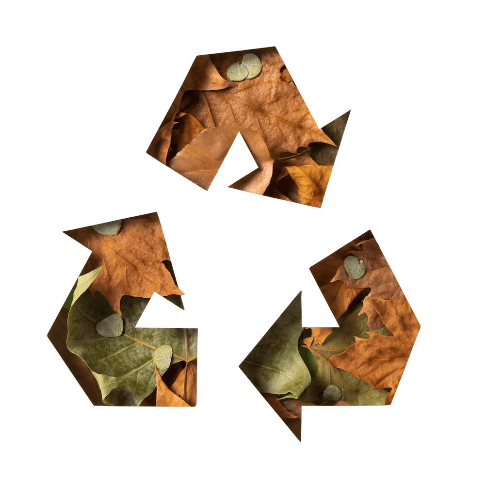 Durabilité écologie